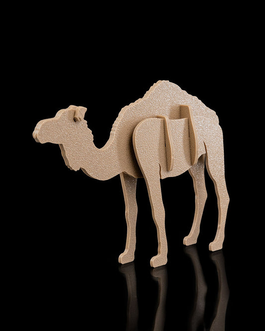 Camel Card Kit