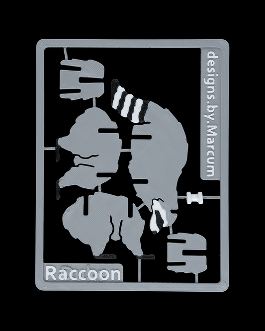 Raccoon Card Kit